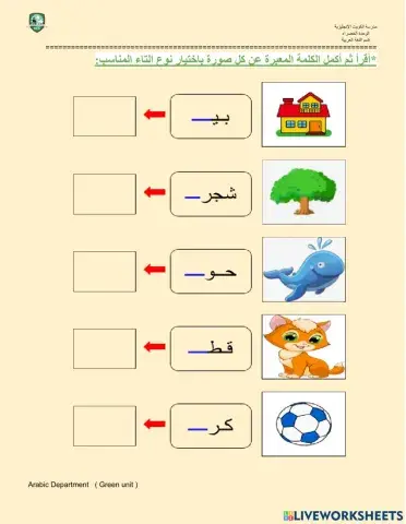 التاء المفتوحة والتاء المربوطة