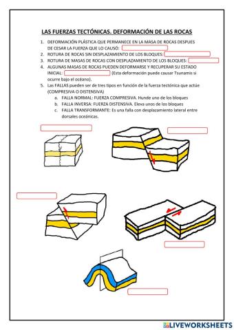 Deformaciones tectónicas