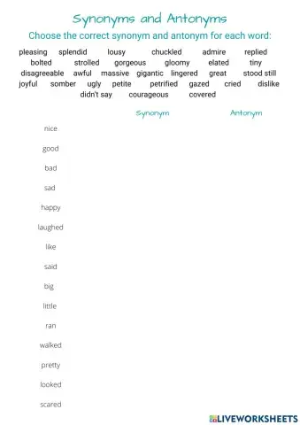 Synonyms and Antonyms