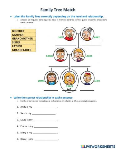 Match Concept and Sentence Completion