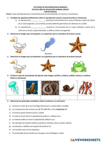 Recuperación Pedagógica