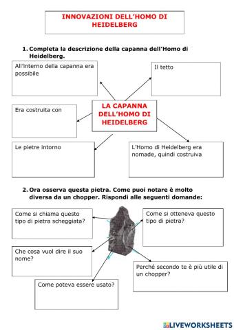 Le innovazioni dell'Homo Erectus