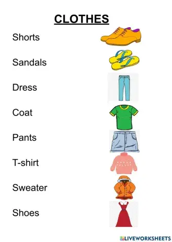Clothes