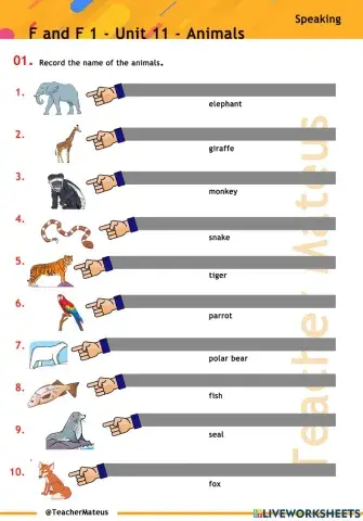 FF 1 - Unit 11 - Animals - Speaking