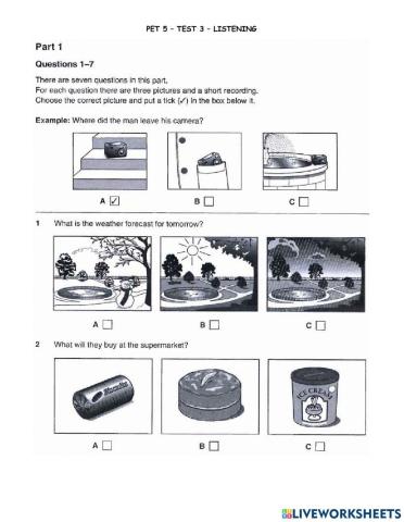 Pet 5 - test 3