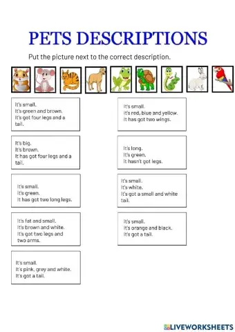 Pets descriptions