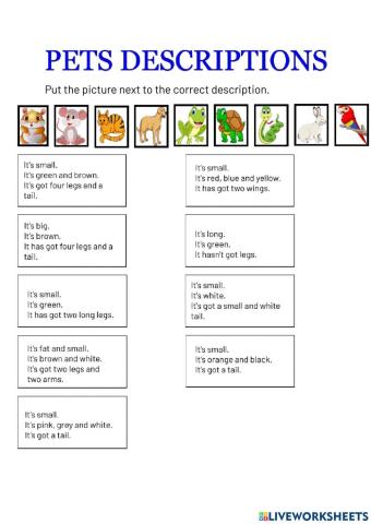 Pets descriptions