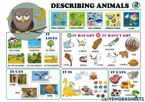 Describing Animals