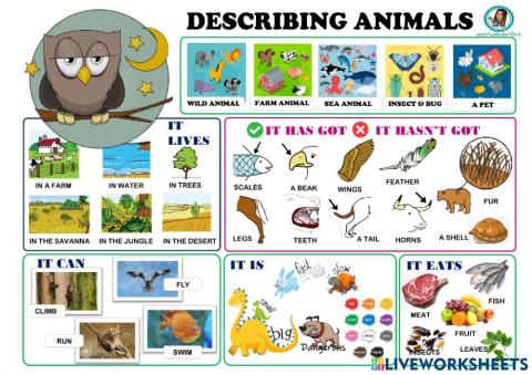 Describing Animals