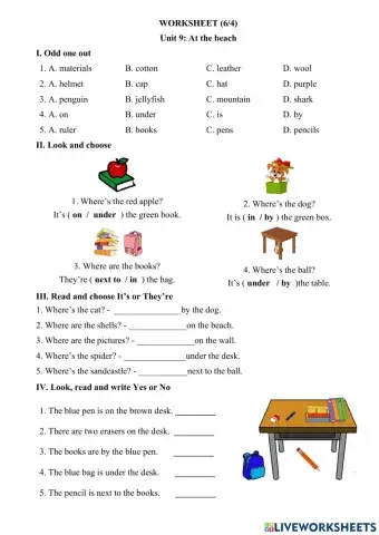 Worksheet 6.4
