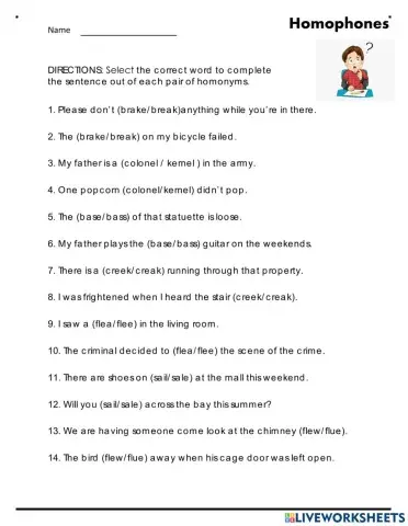 Homophones Worksheet