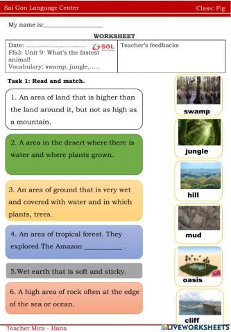Ffs3 Unit 9 - Fig (3-4-2022)