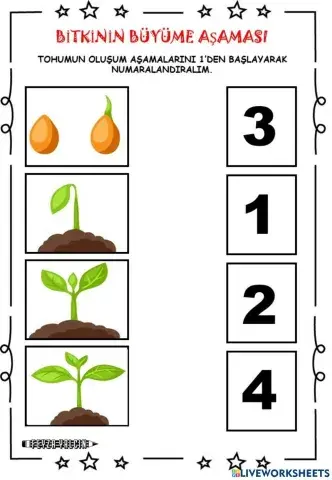 Αντιστοίχισε τις εικόνες