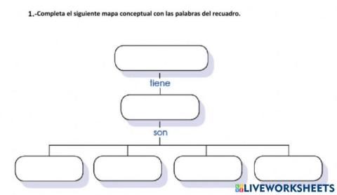Mapa conceptual