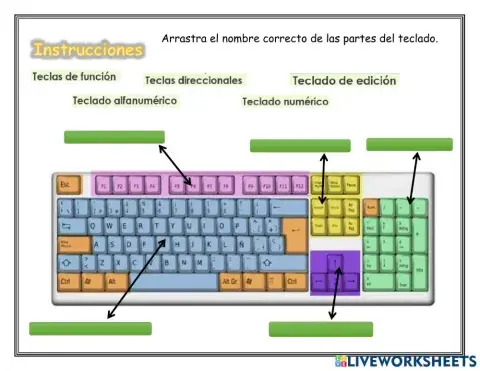 Partes del teclado