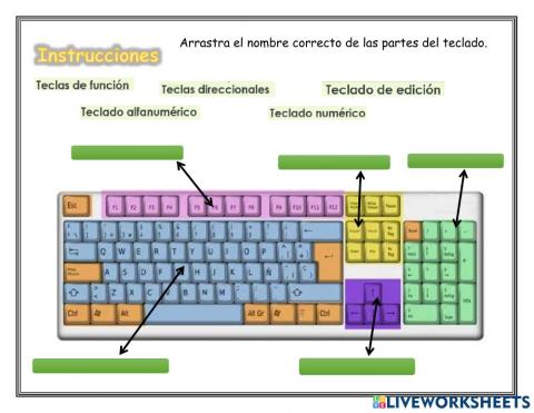 Partes del teclado