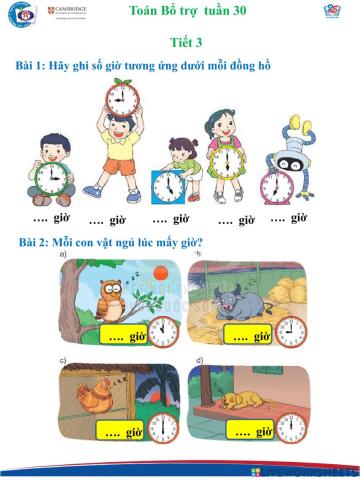 Toán bổ trợ tiết 3 tuần 30