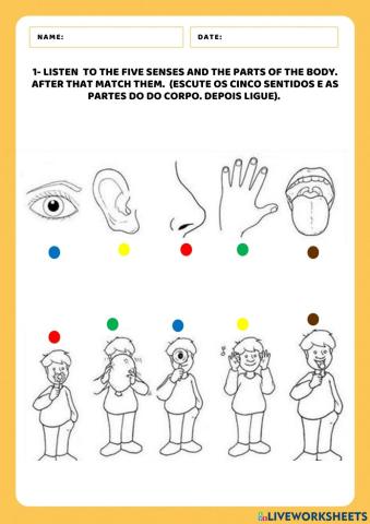 Five senses and parts of the body
