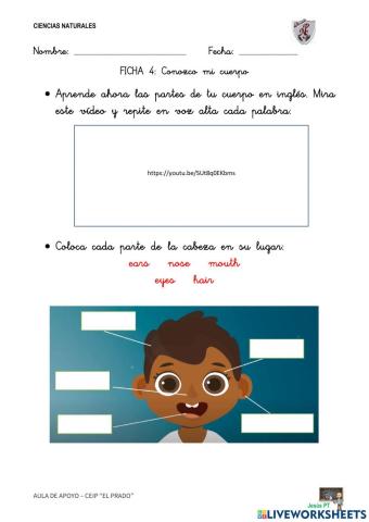 Ficha 4 Conozco mi cuerpo-1EP-Ciencias Naturales