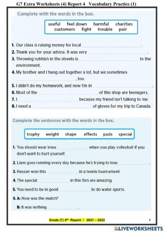 05. Vocabulary   4th report 21 22   (zha)