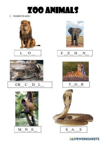 Zoo animals