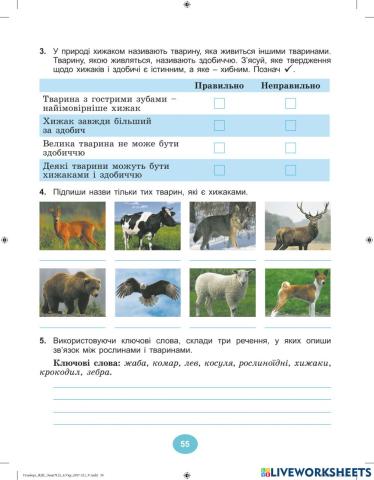 Які взаємо зв'язки існують в природі