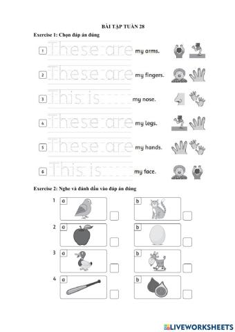 Bài tập tuần 28