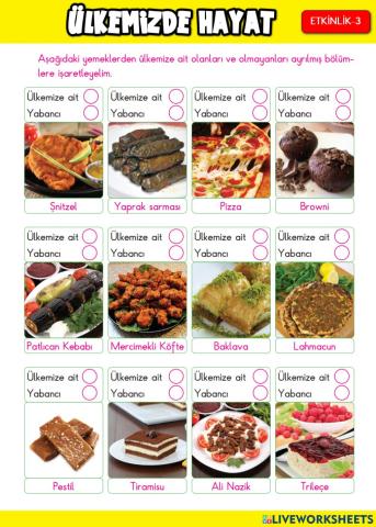 Ülkemizde Hayat Etkinlik-3