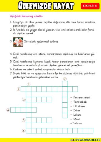 Ülkemizde Hayat Etkinlik-5