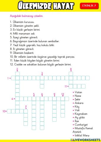 Ülkemizde Hayat Etkinlik-7