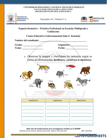 Alimentación en los animales