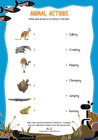 The River - Animal Actions