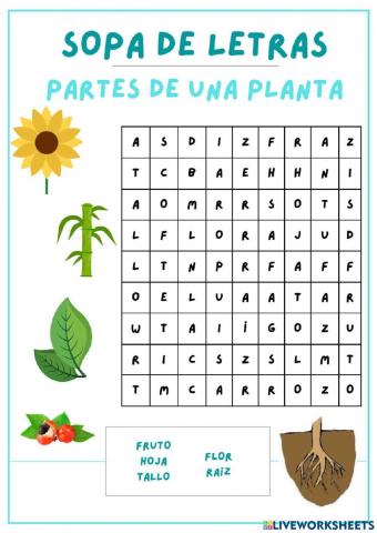 Sopa de letras Plantas