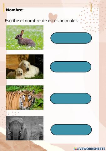 Escribir el nombre de los animales