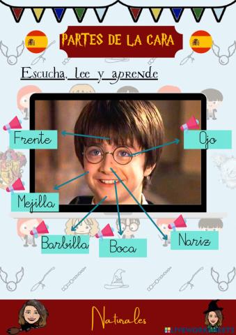 Partes de la cara