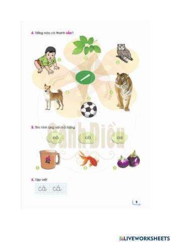 Demo Live worksheet 1