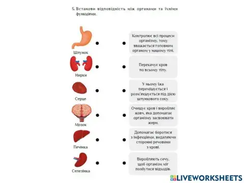 Людина та її здоров'я