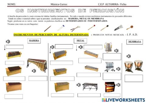 Instrumentos de Percusión -5º