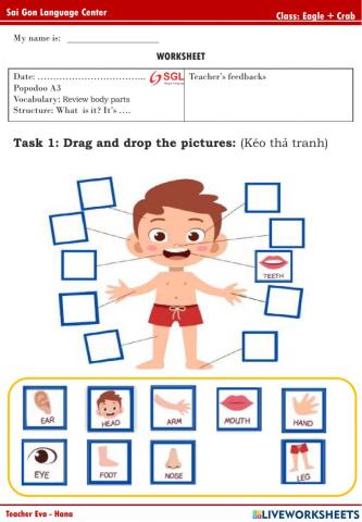 PPD - Review body parts