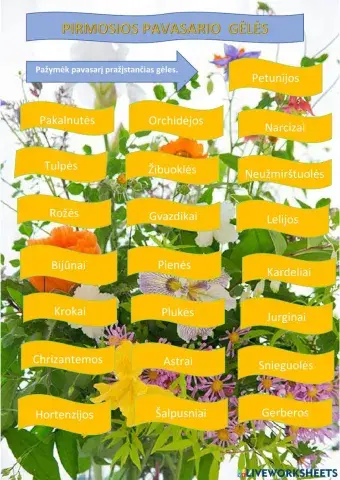 Pirmosios pavasario gėlės