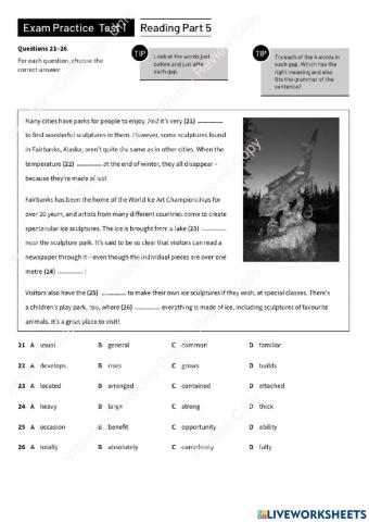 PET exam - Reading part 5