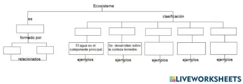¿Qué son los ecosistemas?