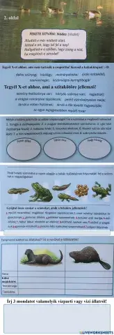 Vizek, vízpartok - tudásmérő 2.oldal