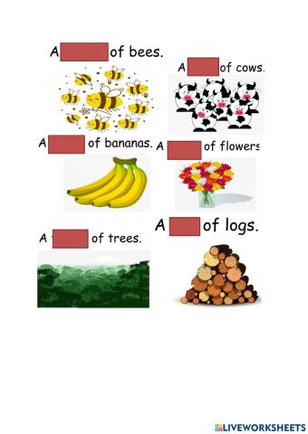 Review Collective Nouns