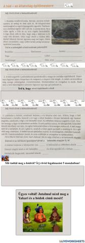 Szövegértés - hód