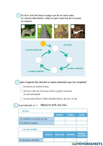 Les cadenes tròfiques