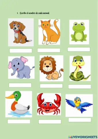 Cuadernillo actividades: animales y plantas