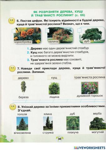 ЯДС Грущинська 1 клас