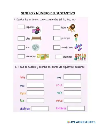 Genero y numero de sustantivo