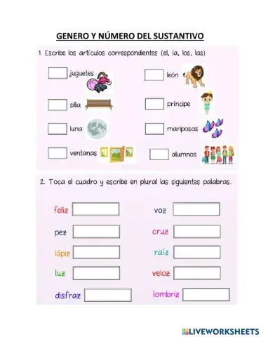 Genero y número del sustantivo